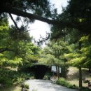 한림공원 Daum카페