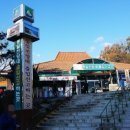 순희의정원 이미지