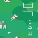고마온GOMAON 네이버블로그