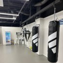 일산 BOX-1 복싱 마두 | 일산 복싱 박스원 제4회 OYF 그랑프리 복싱대회