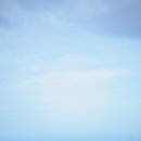 몽멍이들 이미지