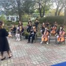 대전자양초등학교 이미지