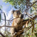 프랑스어_처음(야간) 이미지