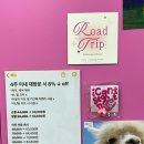 아캔스탑잇네일 이미지