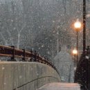 바다그리다 이미지