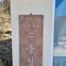 수풀림라탄 | 청송 주왕산카페 수풀림 내돈내산 방문후기(ft. 쌍화차, 흑임자라떼)