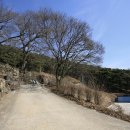 의성 운람사 義城 雲嵐寺 이미지