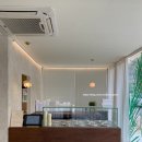 담금 젤라또 이미지