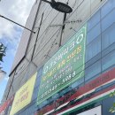 포곡파크골프장 | 🏌️‍♂️ 용인파크골프용품점 ‘크로바파크’ 방문기 ⛳ 혼마파크골프 정품까지 한눈에!