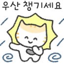 고양이묭실 이미지