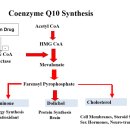 잠실미소약국 이미지