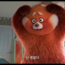 메이그린 이미지