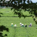 서광리-19 이미지