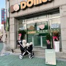 도무스(DOMUS) | [목포 애견카페] 예쁜 포토존과 무한체력 상주견이 있는 "도무스"