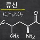 류신