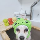 뚜뚜네 미용실 이미지