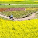 경자농장 이미지