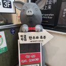 제주실천방역회사 | 제주공항근처맛집 추천받아 갔는데 놀랐습니다｜제주한우와흑돈관