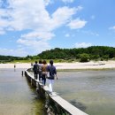 영주 무섬마을 이미지