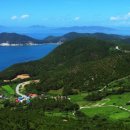 바다와 숲 이미지