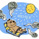 햇빛 쬐기 (하루에 10분) 이미지