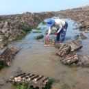 곰섬마을 이미지