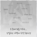 법무법인가나다