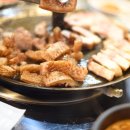 참잘돼지