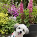 때미리디테일링 이미지