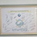 서귀포시청소년수련관 | 서귀포 관광명소 | 야구를 사랑한다면 한국야구명예전당