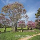 그림속풍경 이미지