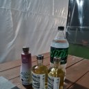 더상상글램핑&풀빌라
