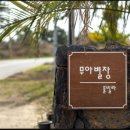 무아별장