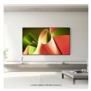 롯데하이마트(주)용전점 이미지