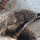 재동카센타 이미지