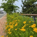 김제 심포항 산책 이미지