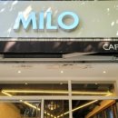 카페마일로(MILO) 이미지