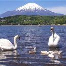 저녁나절 이미지