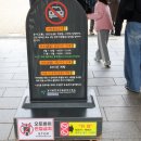 중구청사 부설주차장 | 서울 은행나무 단풍명소 남산골 한옥마을 추천 체험 애견동반 주차장 정보