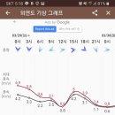 스텔스호