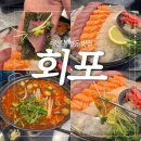 대전 봉명동 횟집 [회포] 가성비 모듬회 후기