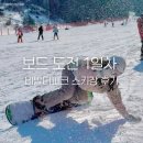 홍천 비발디파크 스키장 보린이 보드 도전 1일차