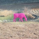 솔향기길 나오리공방 이미지