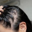대신카오일마트셀프세차 | 새치염색약 추천받다가 결국 염색샴푸로 갈아탄 후기 (1년차 솔직하게)