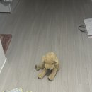 # 12월 둘째주 일상 : 잘먹고 잘자기