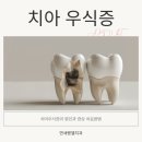 가락우리치과 이미지