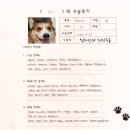 963 | [#963] 루이(좌측 전십자인대 )의 수술후기
