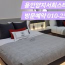 양지상사 이미지