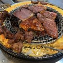 신마포갈매기까치