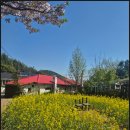 모하마을회관 | 김해 장유 신안계곡 입구 카페 모하 찐 후기